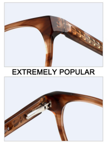 Premium Cat Eye Acetate Optical Frame –2SE10